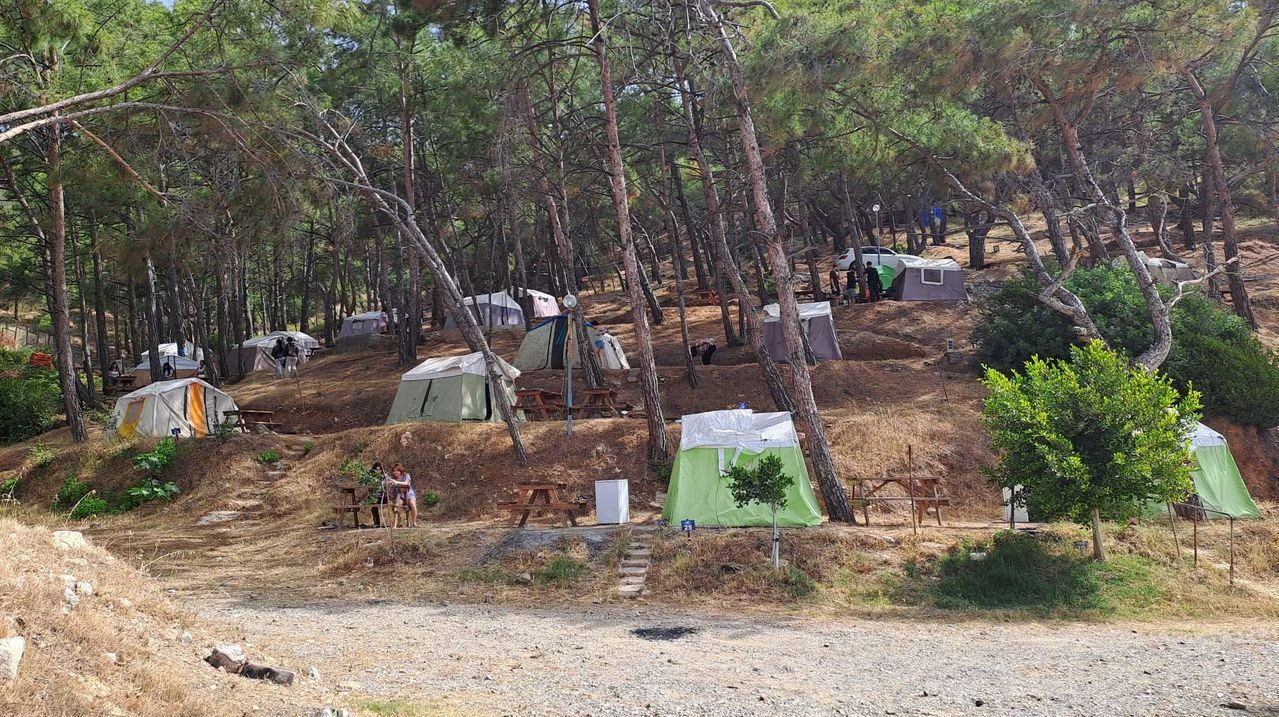 Pullu Tabiat Parkı